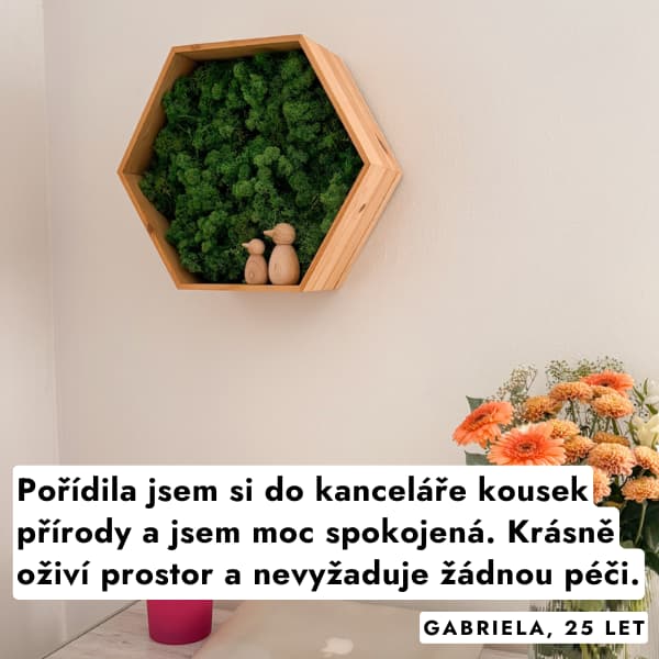 hexagon-mech-na-stenu